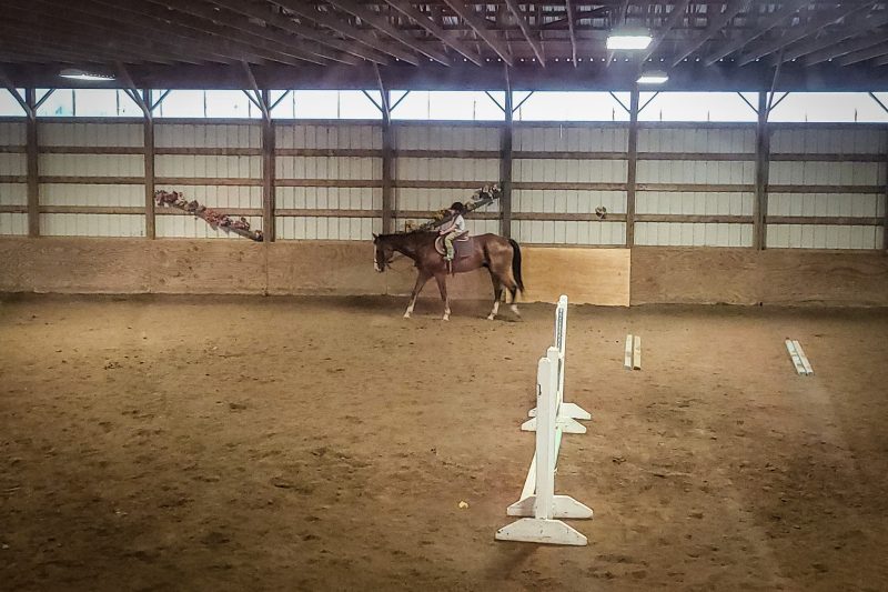 Rumbly astride Poncho - horse on inside track course