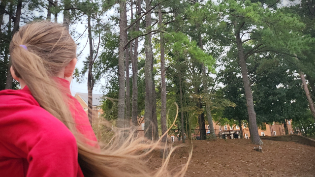 windy hair out of sunroof